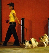 05.jpg