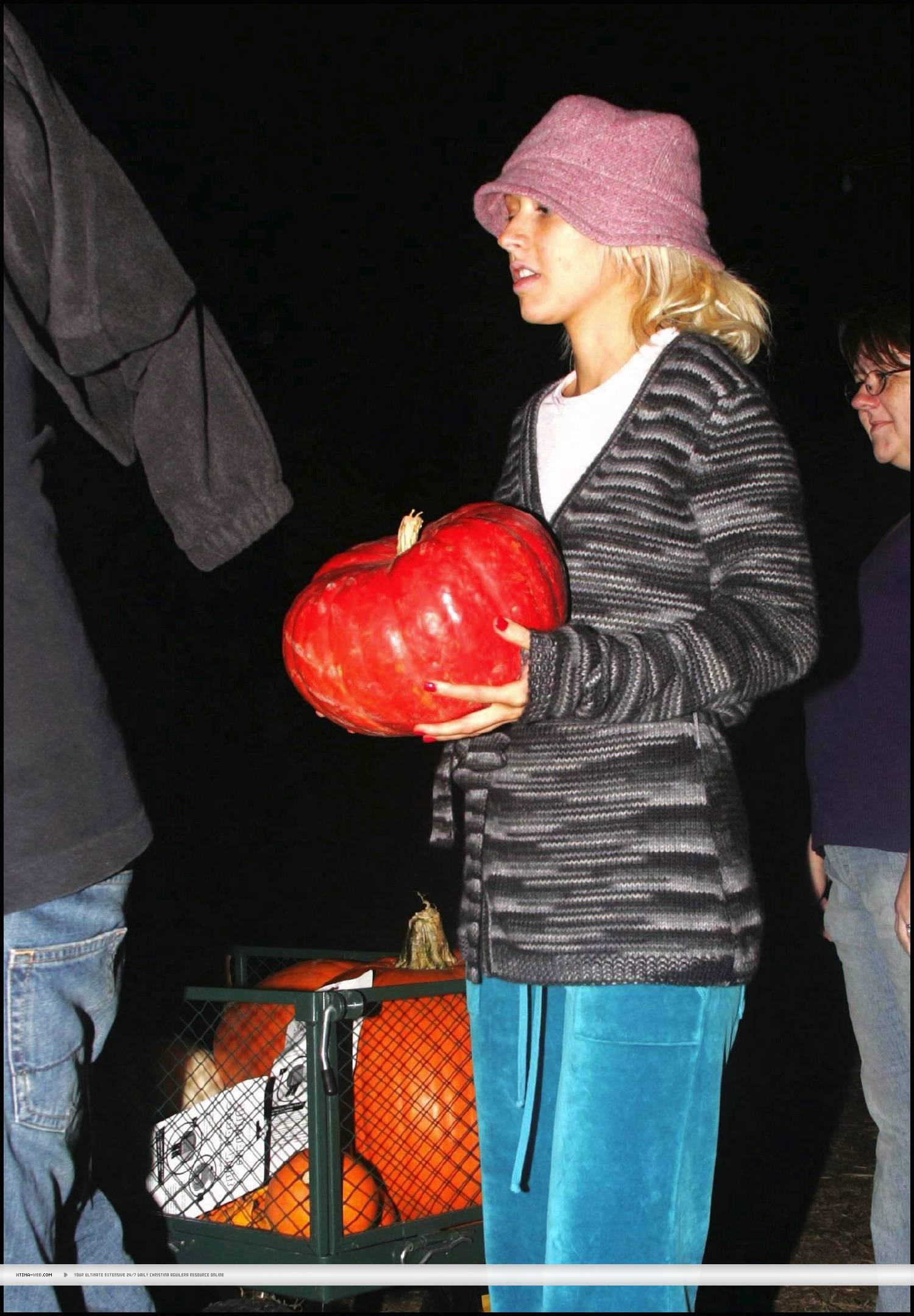 31.jpg