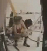 91.jpg