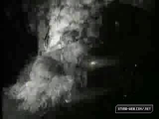 1161.jpg