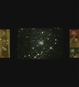 124.jpg