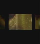 169.jpg