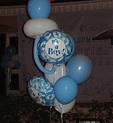203.jpg