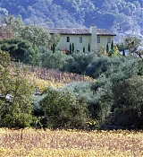 07.jpg