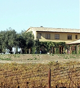 08.jpg