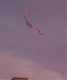 1026.jpg