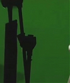 100.jpg