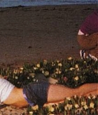 63.jpg