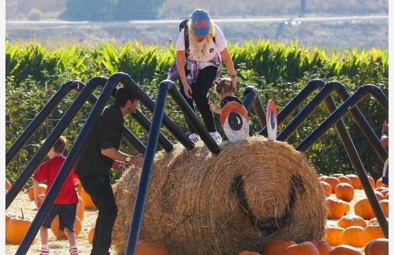 At_the_Pumpkin_Patch_with_Family_on_October_28-09.jpg
