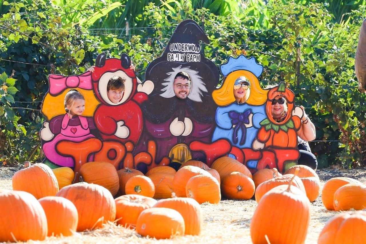 At_the_Pumpkin_Patch_with_Family_on_October_28-13.jpg
