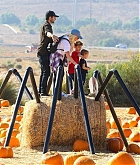 At_the_Pumpkin_Patch_with_Family_on_October_28-07.jpg