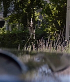 Screen_Captures26.jpg