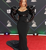 The_22nd_Annual_Latin_GRAMMY_Awards_Arriving_-_November_1801~0.jpg