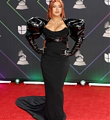 The_22nd_Annual_Latin_GRAMMY_Awards_Arriving_-_November_1802~0.jpg