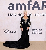 amfAR_Gala_Cannes_2022_-_Arrivals28.jpg
