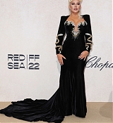 amfAR_Gala_Cannes_2022_-_Arrivals78.jpg