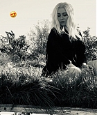 fallinlove02_28129.jpg