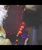 welcome_to_my_Wonderland-01.jpg